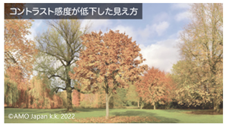 コントラストが低下した見え方